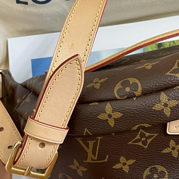 New 😻🔥Louis Vuitton bumbag - Picture 3 of 15